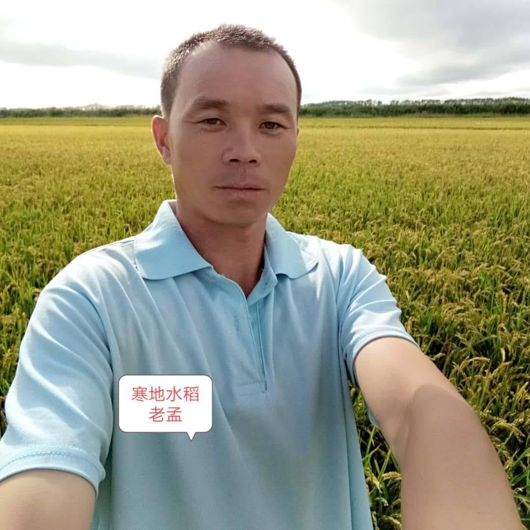 寒地水稻老孟