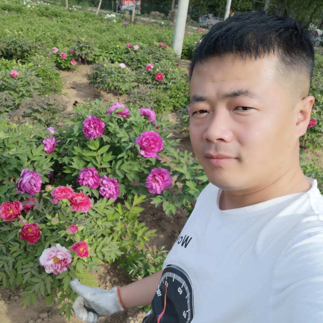 千里走单骑、、