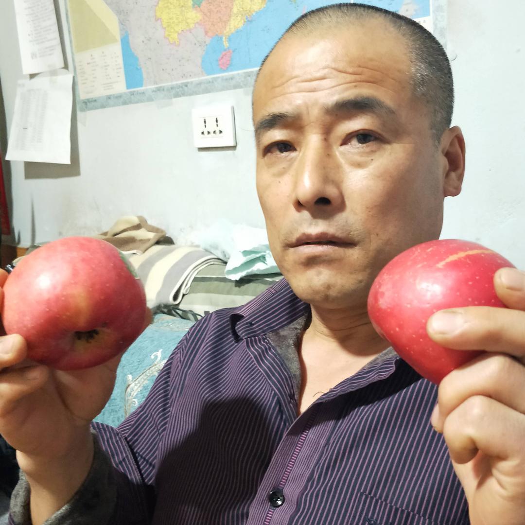 夫妻搭档