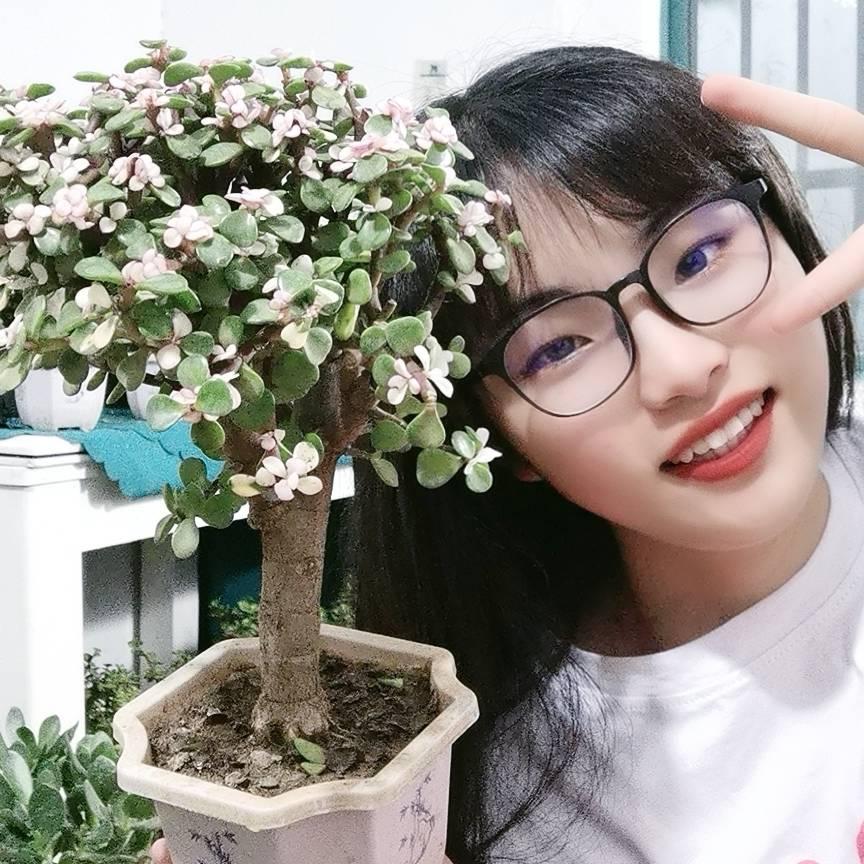 思思花卉