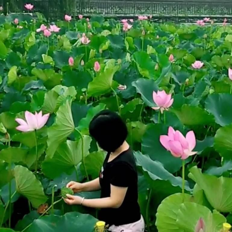 湘F云姐