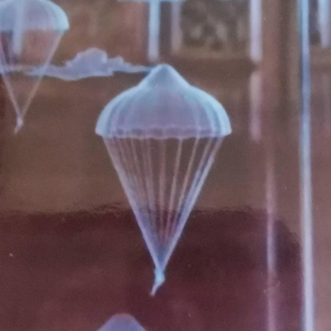 空中伞情
