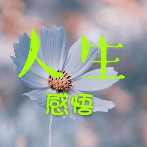 敏感肌修复
