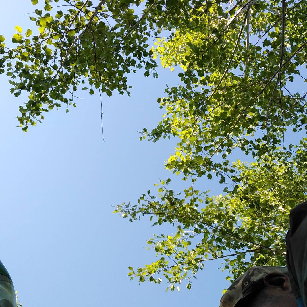 我是东北人。。。