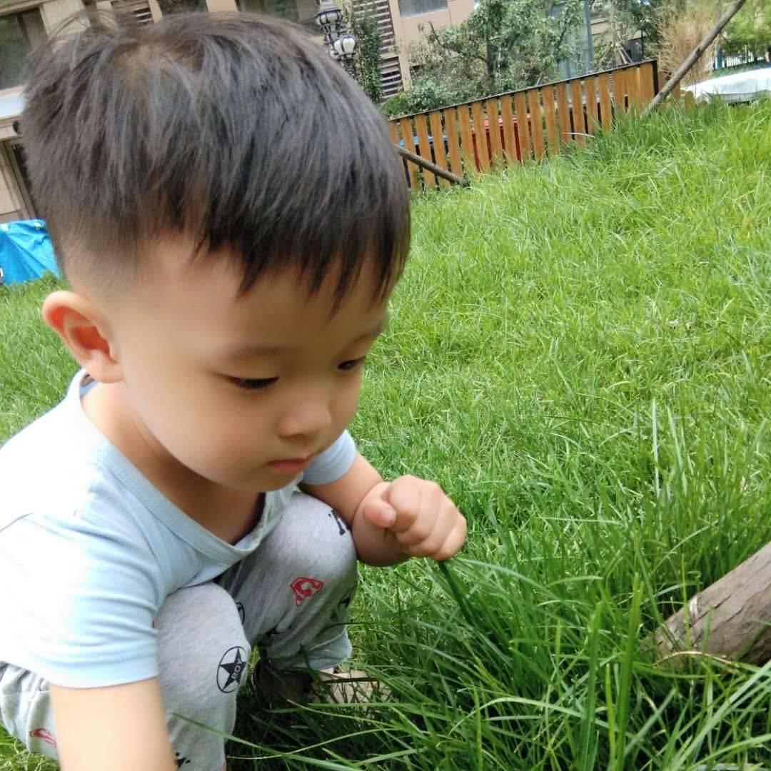 梅丽人生🌸🌸