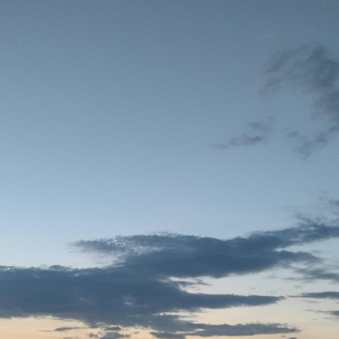 梦想的你