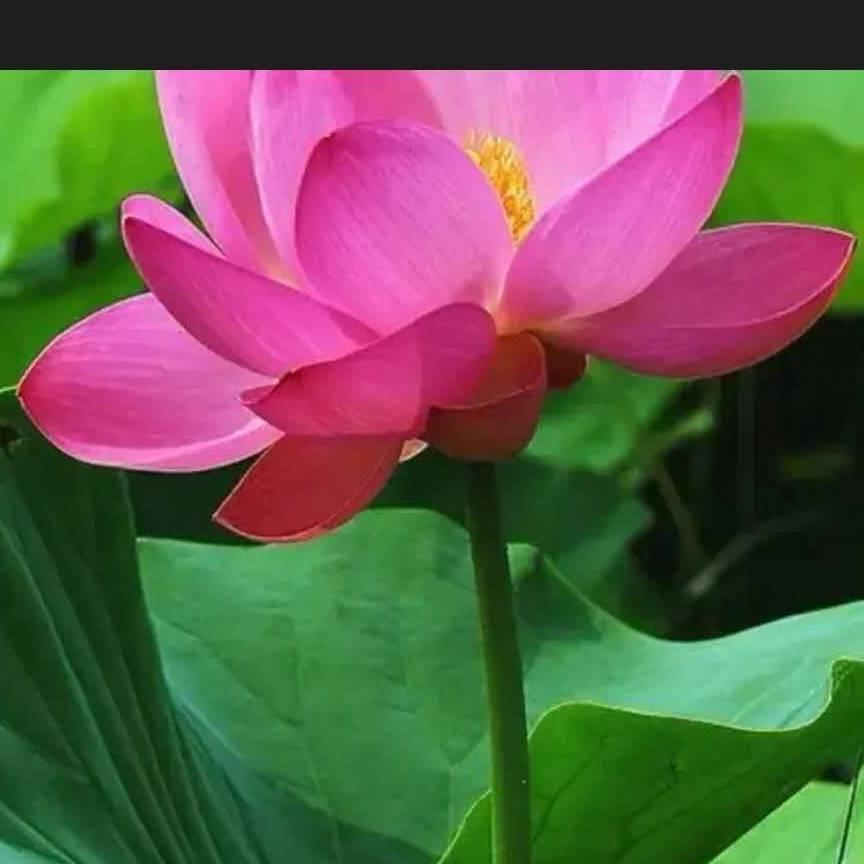 看破不说破！！