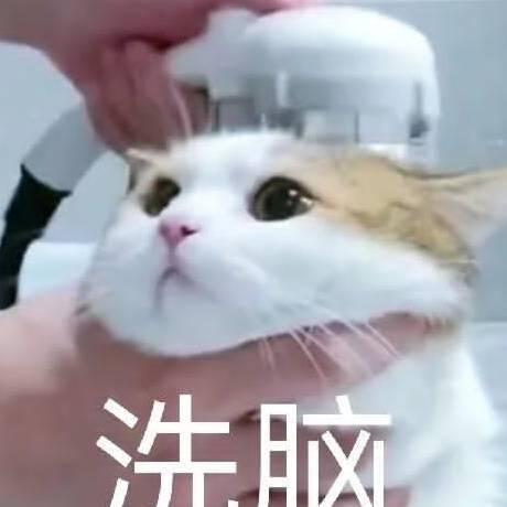 🔥瑞⁶⁸¹