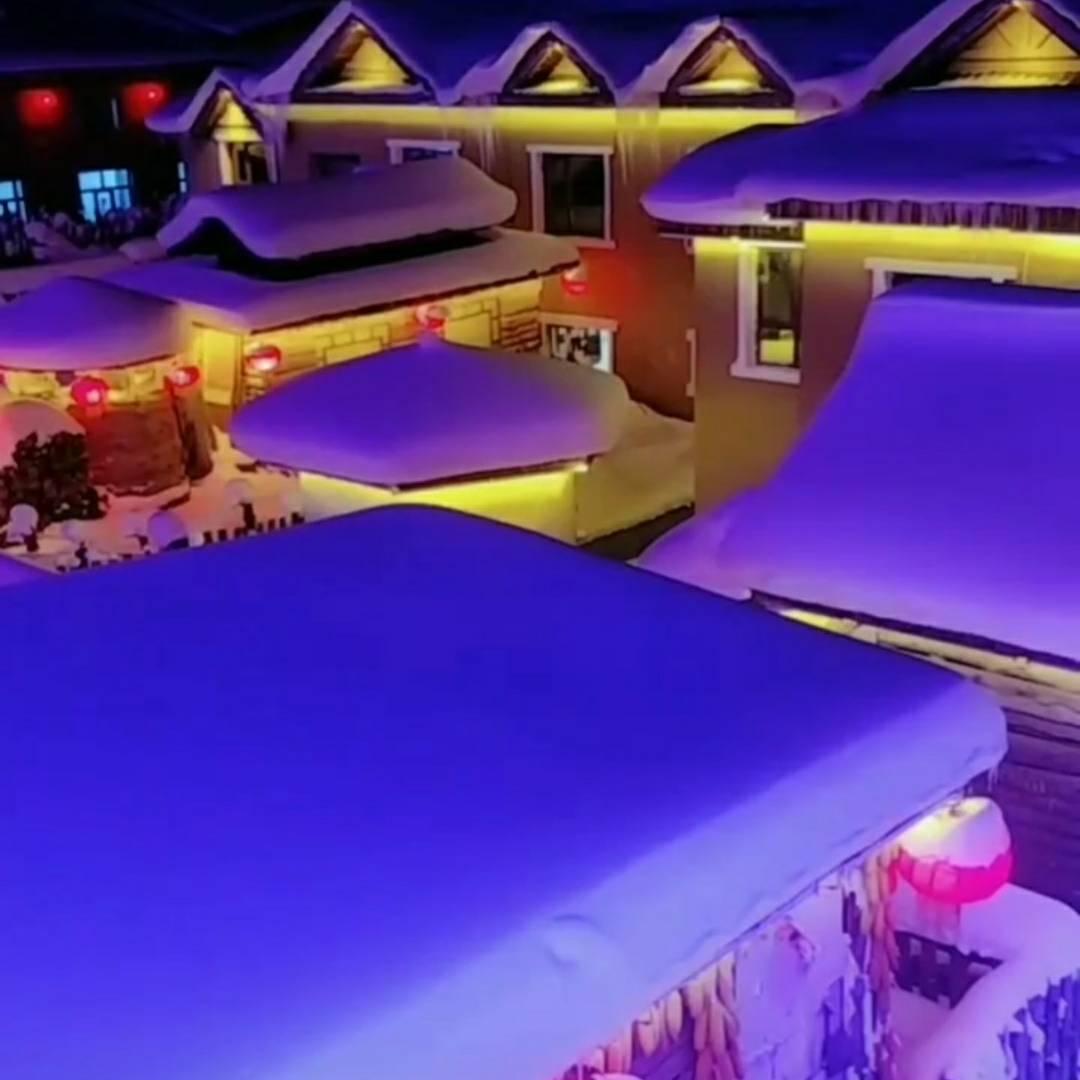 与你同行2025💞