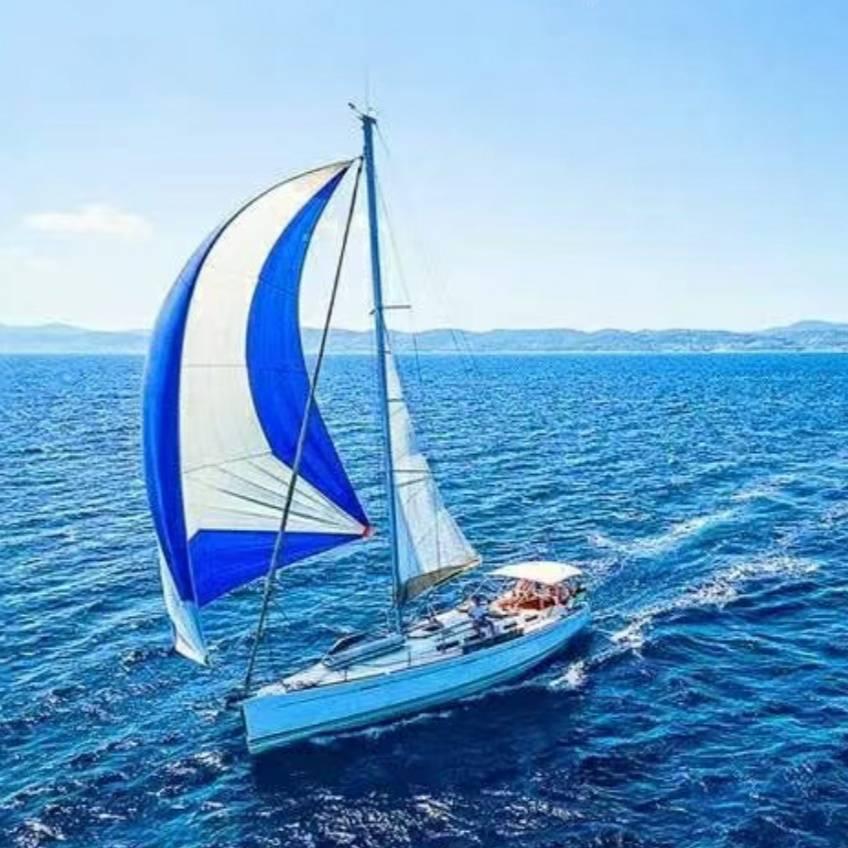 杨海
