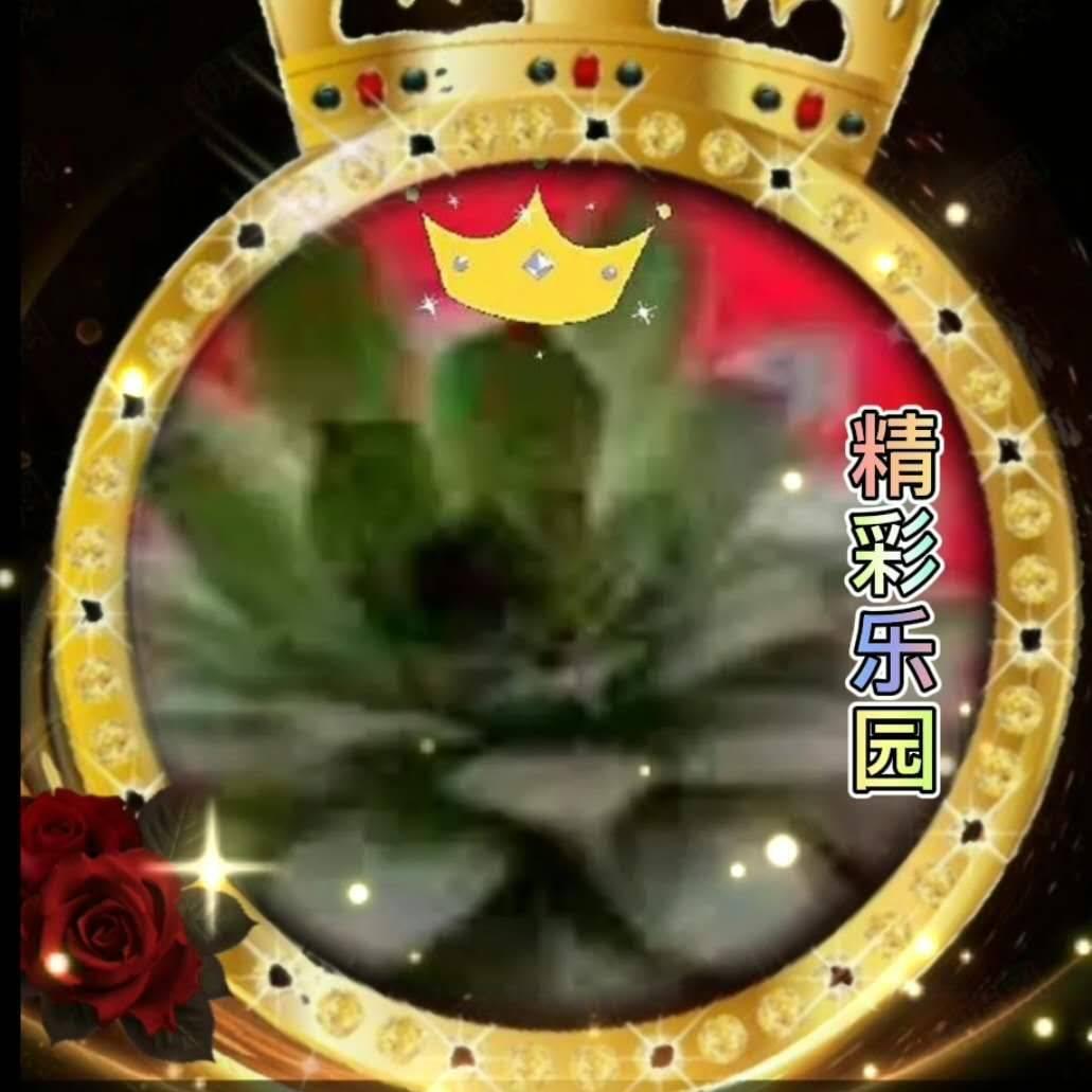小苹果✨精彩乐园