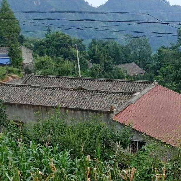 走四方💪💪💪