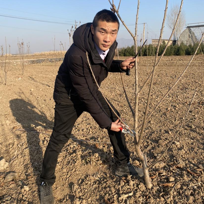 阿冰园林工具