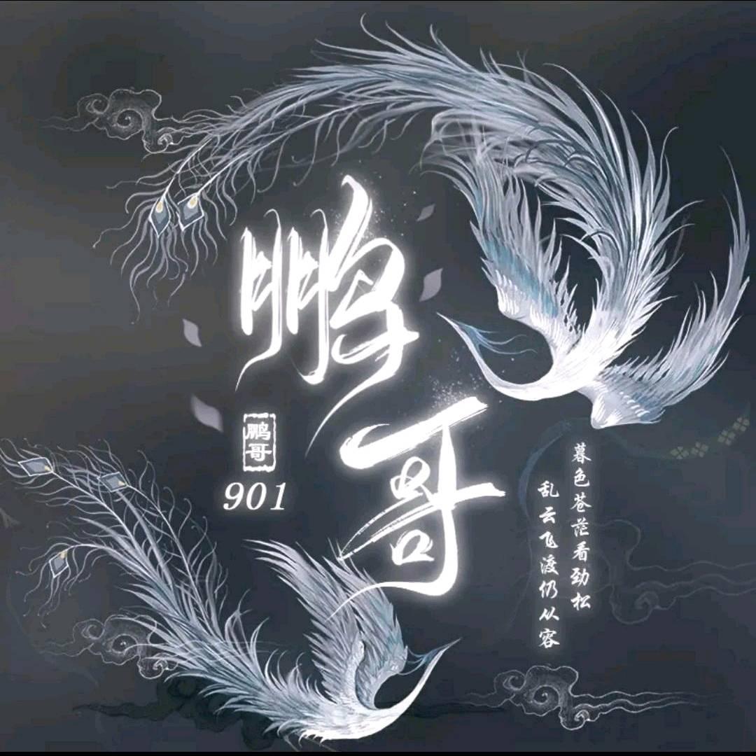 我愿做你大哥