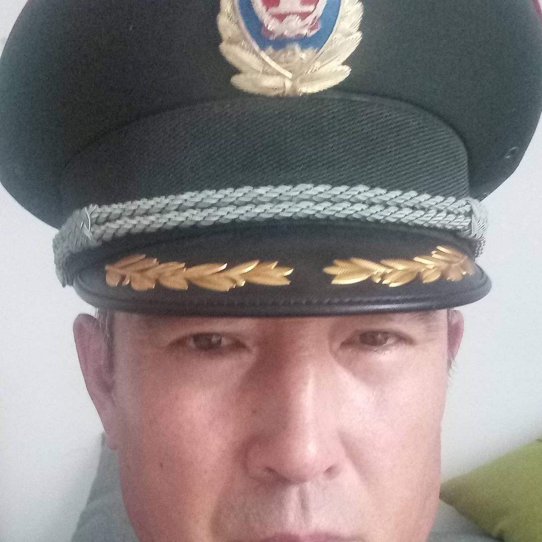 远去的雄鹰