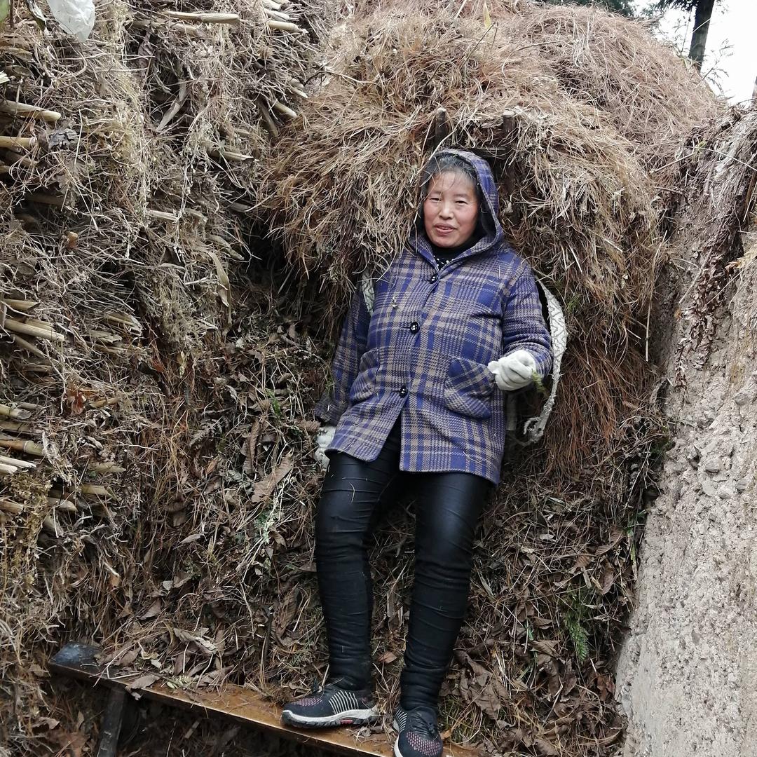 妈妈的山里生活
