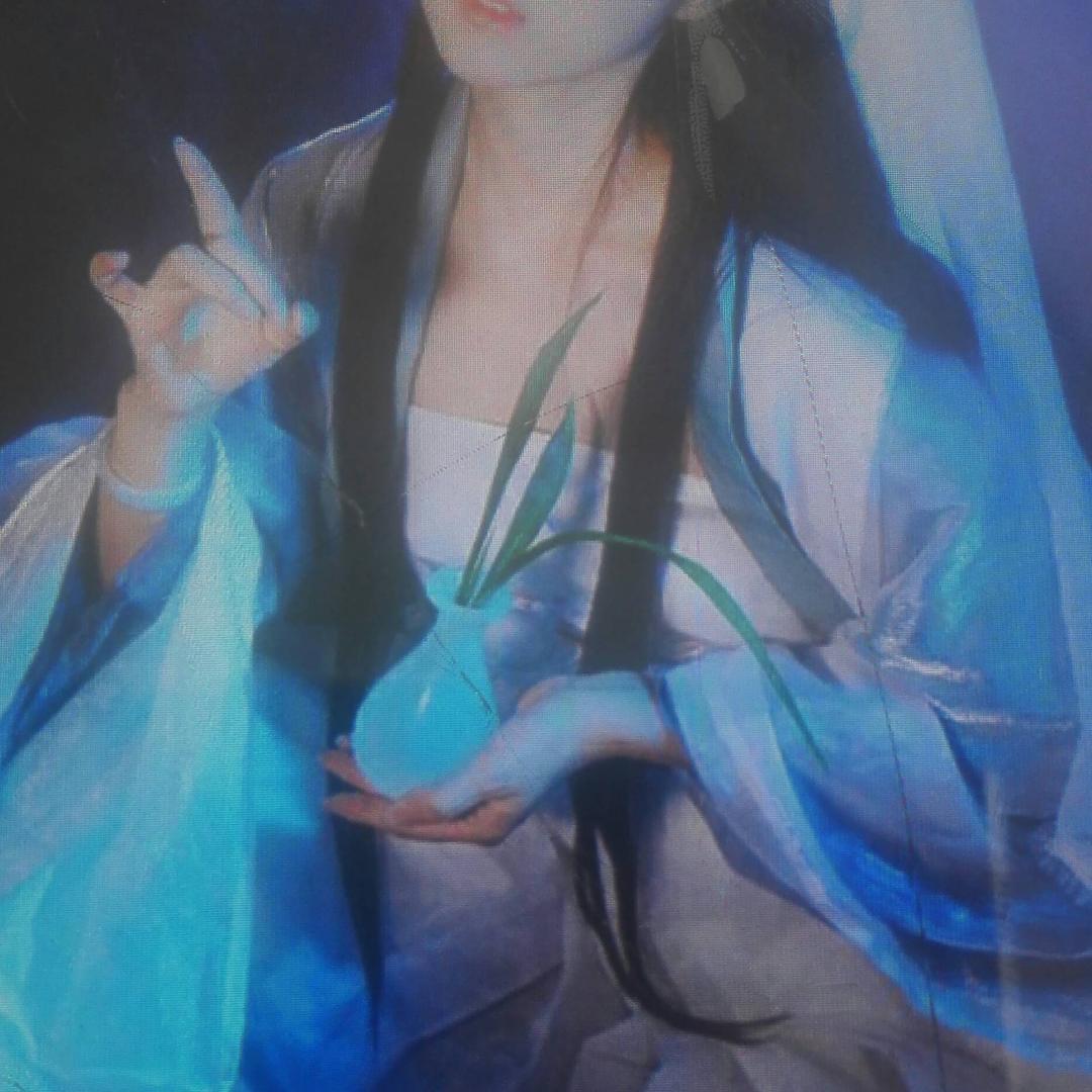 四季长靑