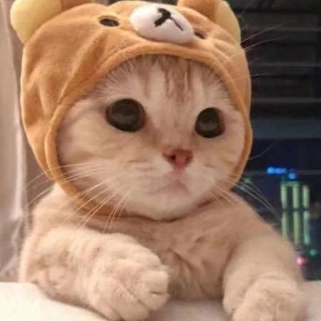 🌹吉林🌹华哥🌹