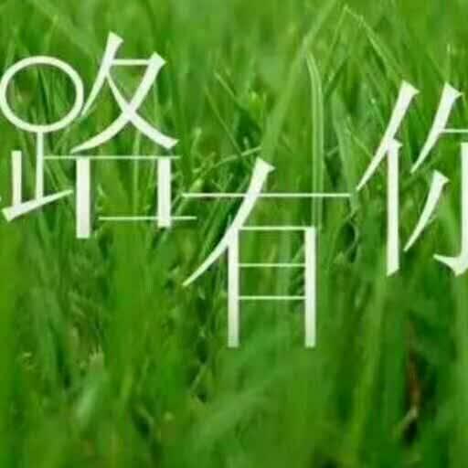 美好未来