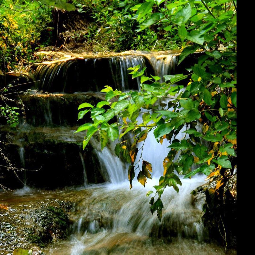 单身一人，离异