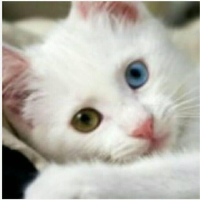 红🇨🇳旗🇨🇳