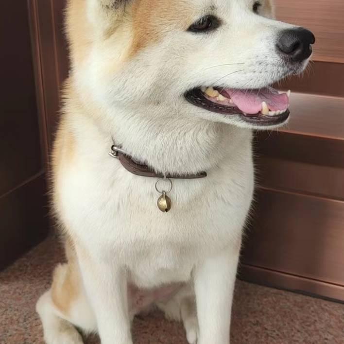 如果还爱你