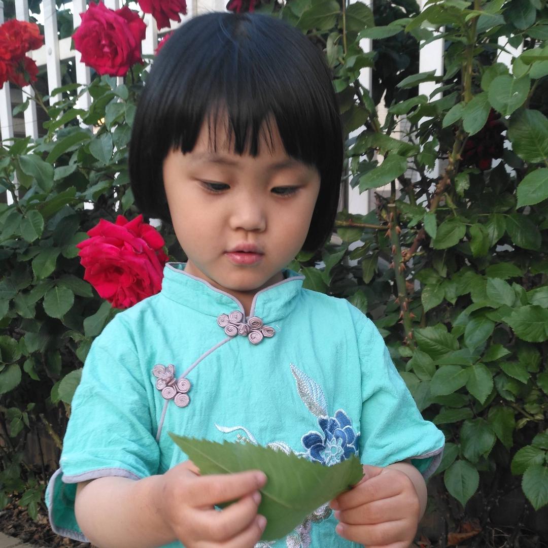 小刘和老刘的幸福生活