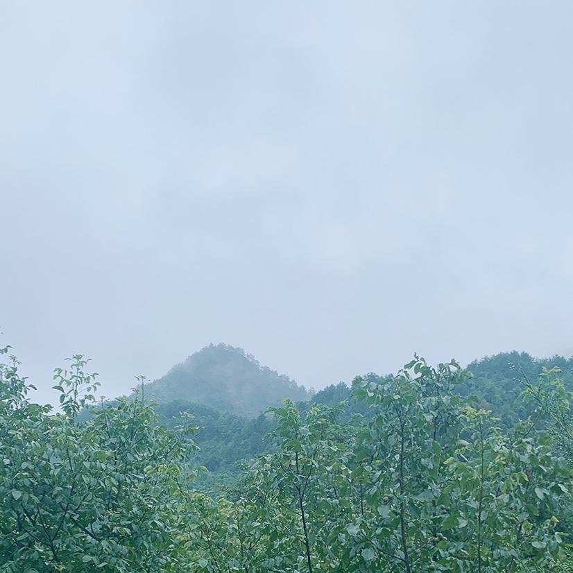 仙鹤鸣
