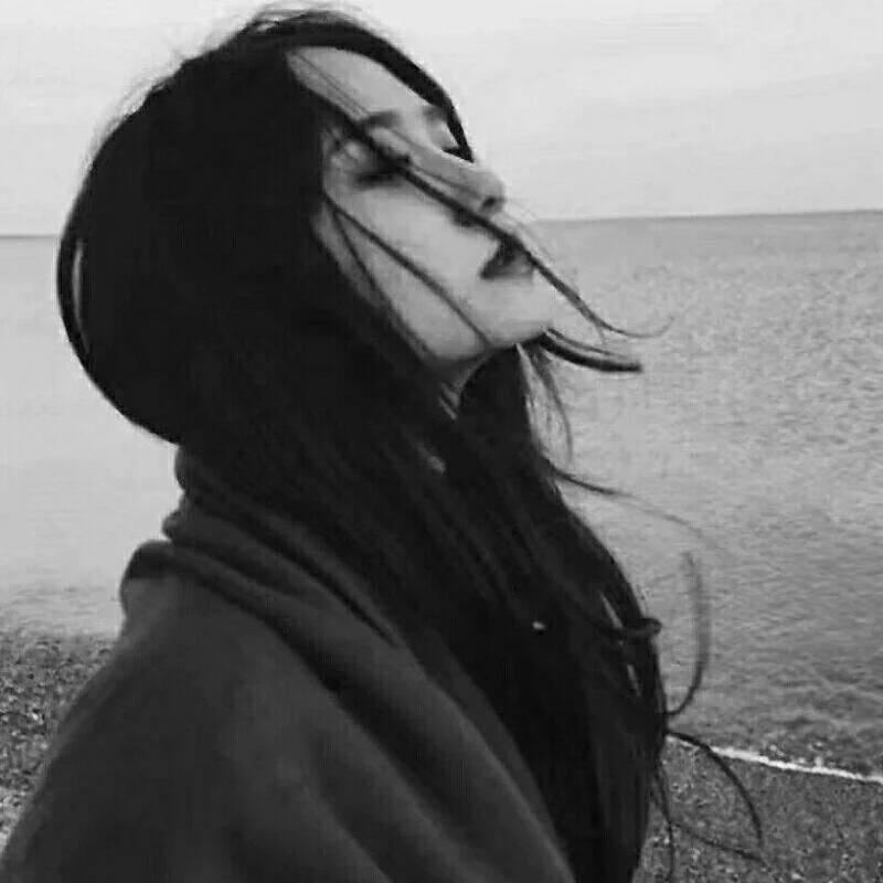 海拉尔搭子联盟