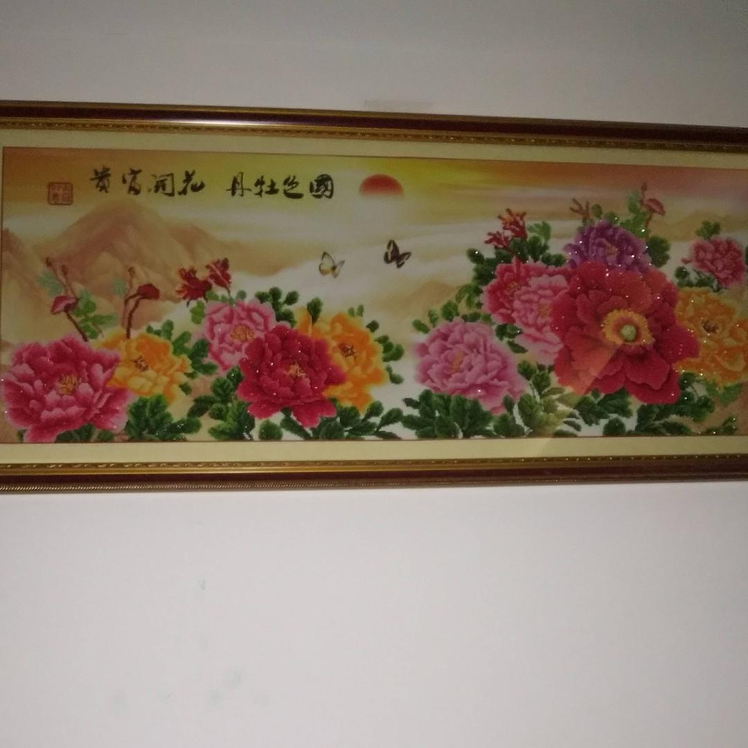 J8网红会咬人