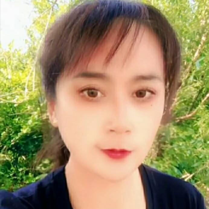 火火金凤凰