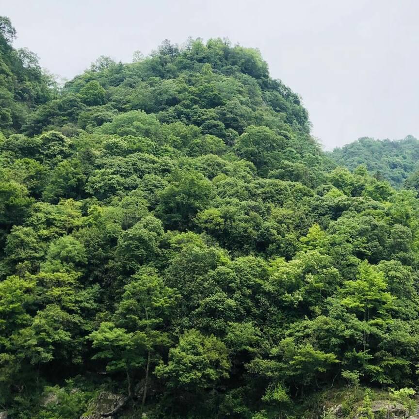 钱多钱少有福就好60