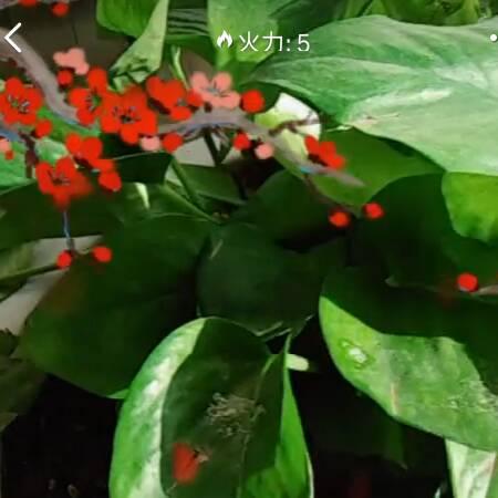 幸福家园_23193