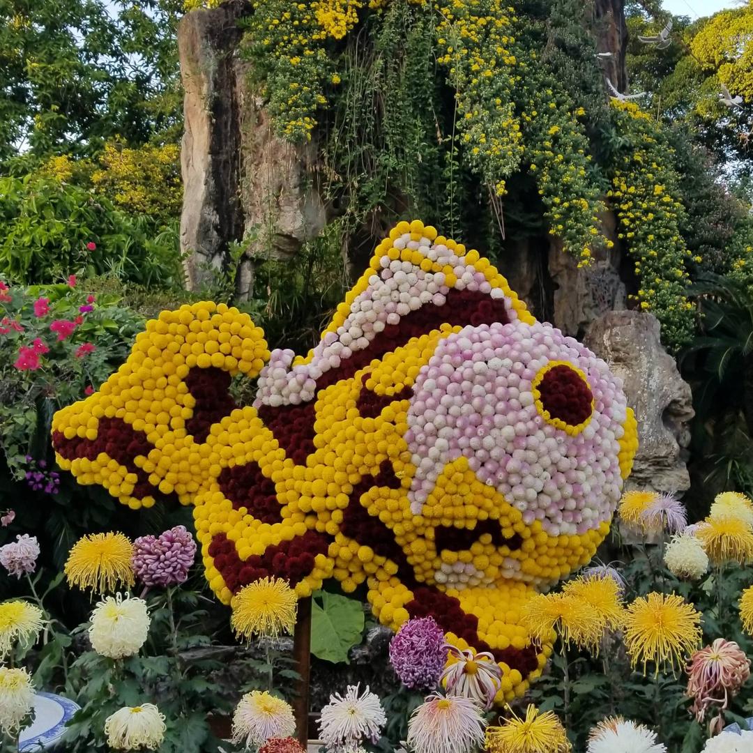 轻松愉快