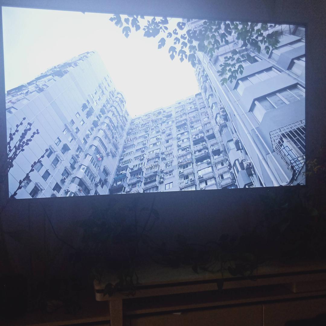 简单过好每一天