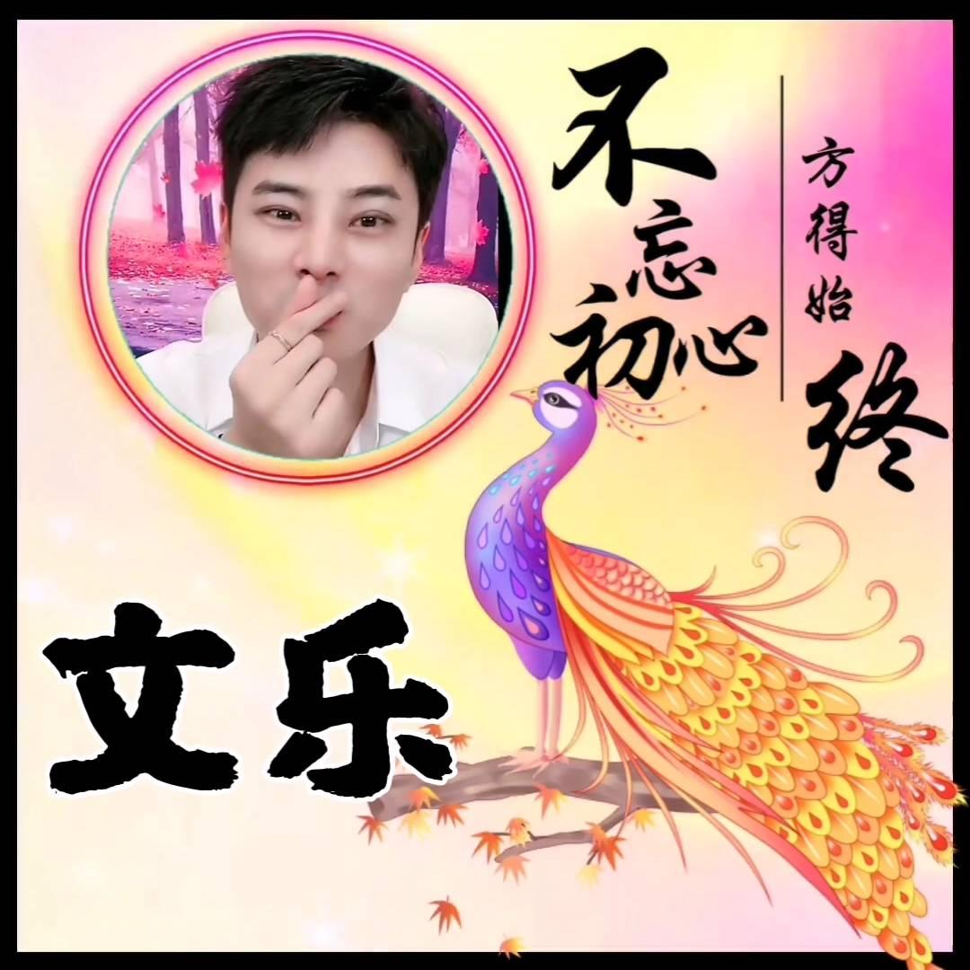 紫色烟花🎸219《大观园》