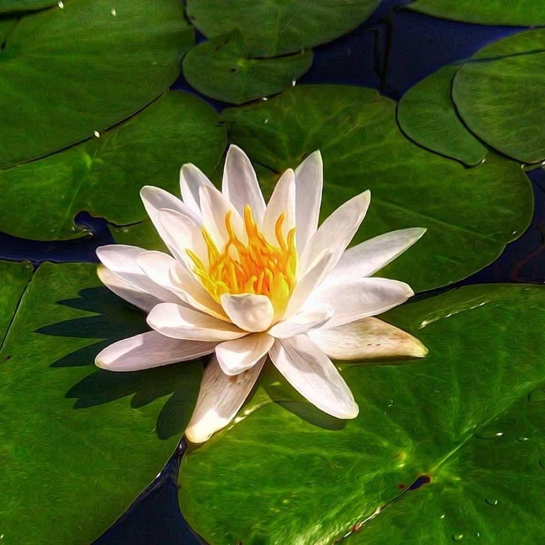 人心难测
