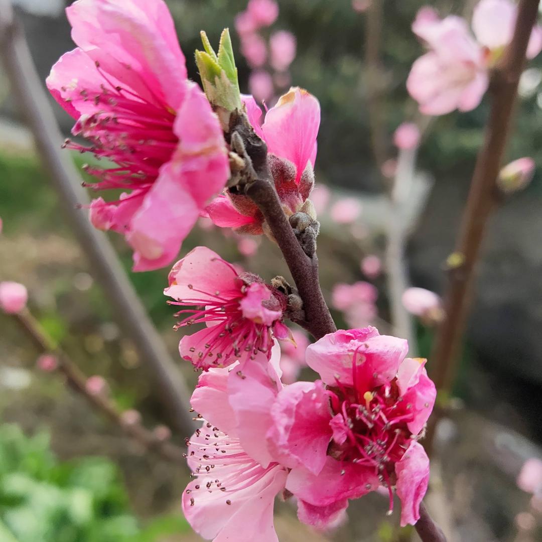 山外青山楼外楼，西湖歌舞几时休！