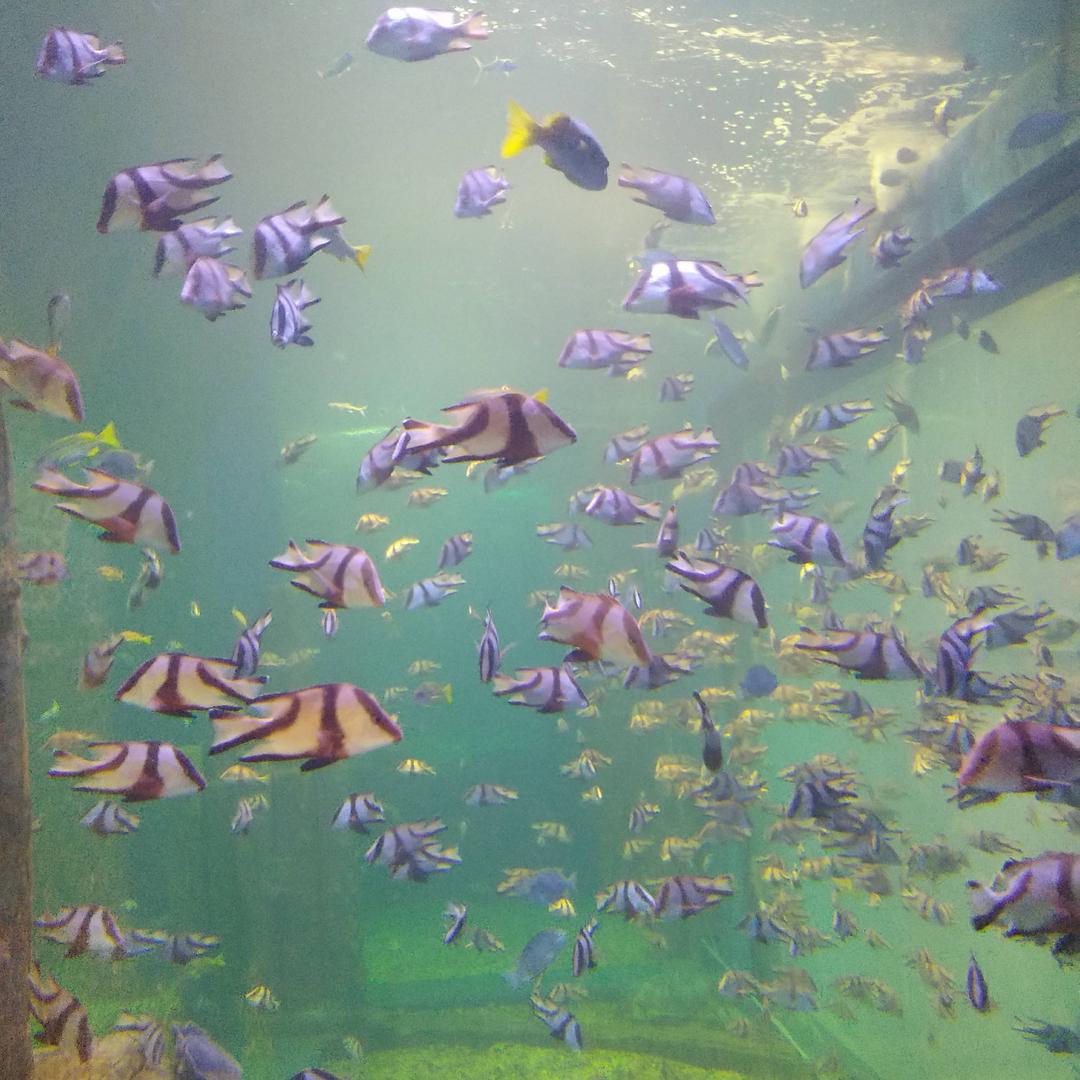 搞笑合拍√