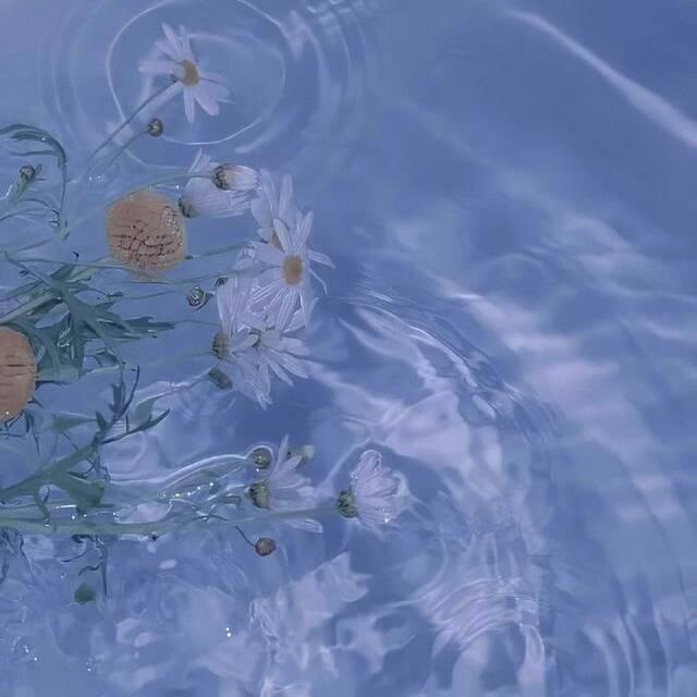 夏末未凉