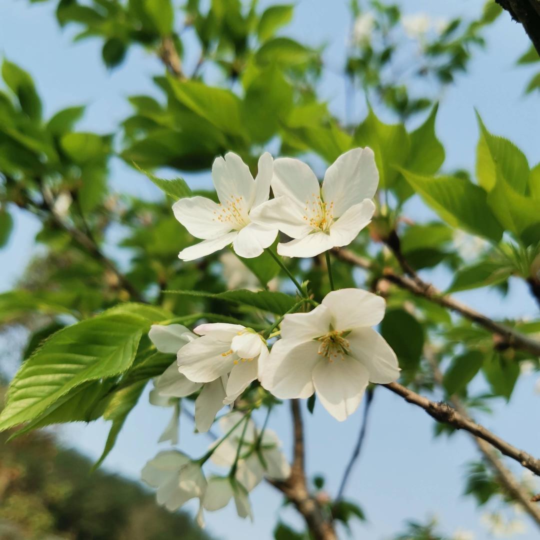 一生平安
