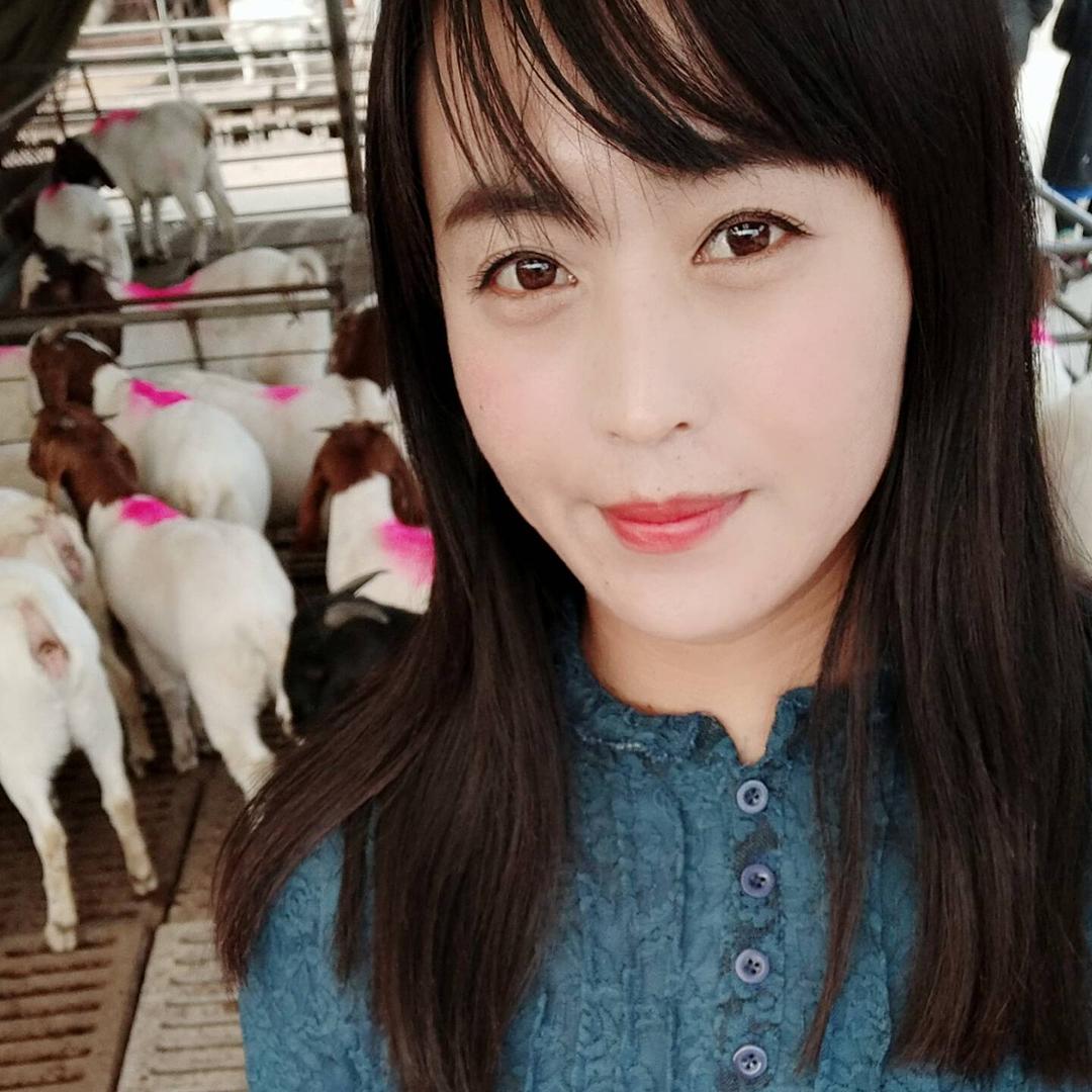 多胎多羔🐑繁殖基地