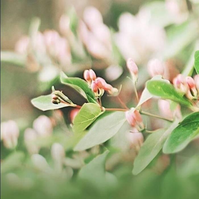 我是個跑堂的