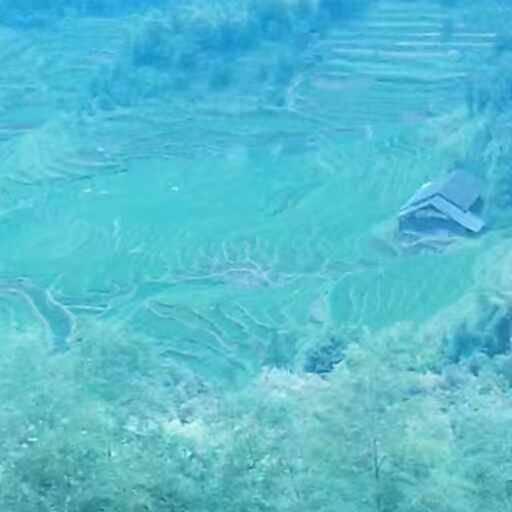 绿色小山村