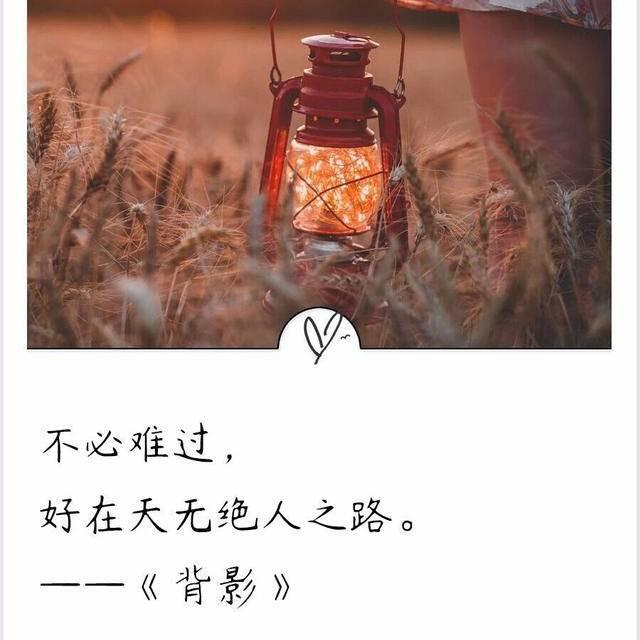 欣欣向荣🐲