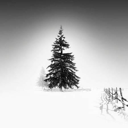 ★风吹泡泡糖★