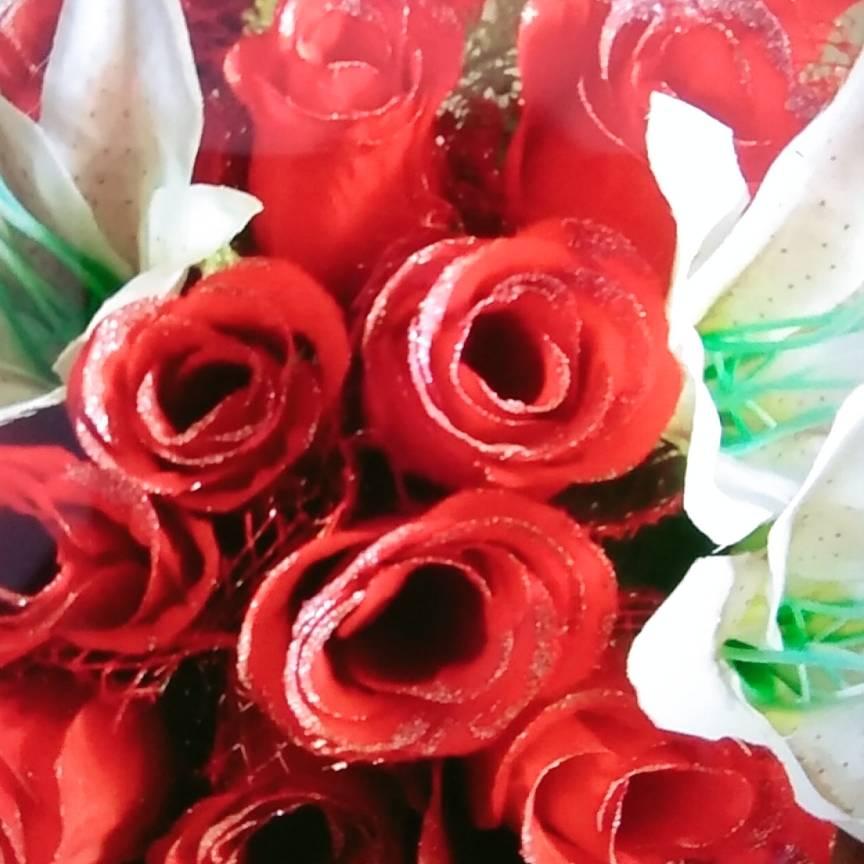 野玫瑰🌹