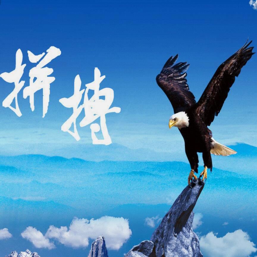 东东666999