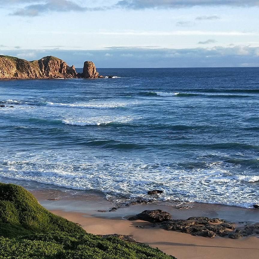 🌙🐮单车🐮🌙