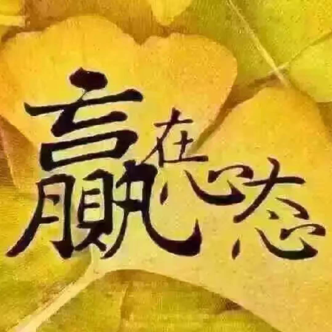 忘情忘酷忘自己🎾🏵🐲